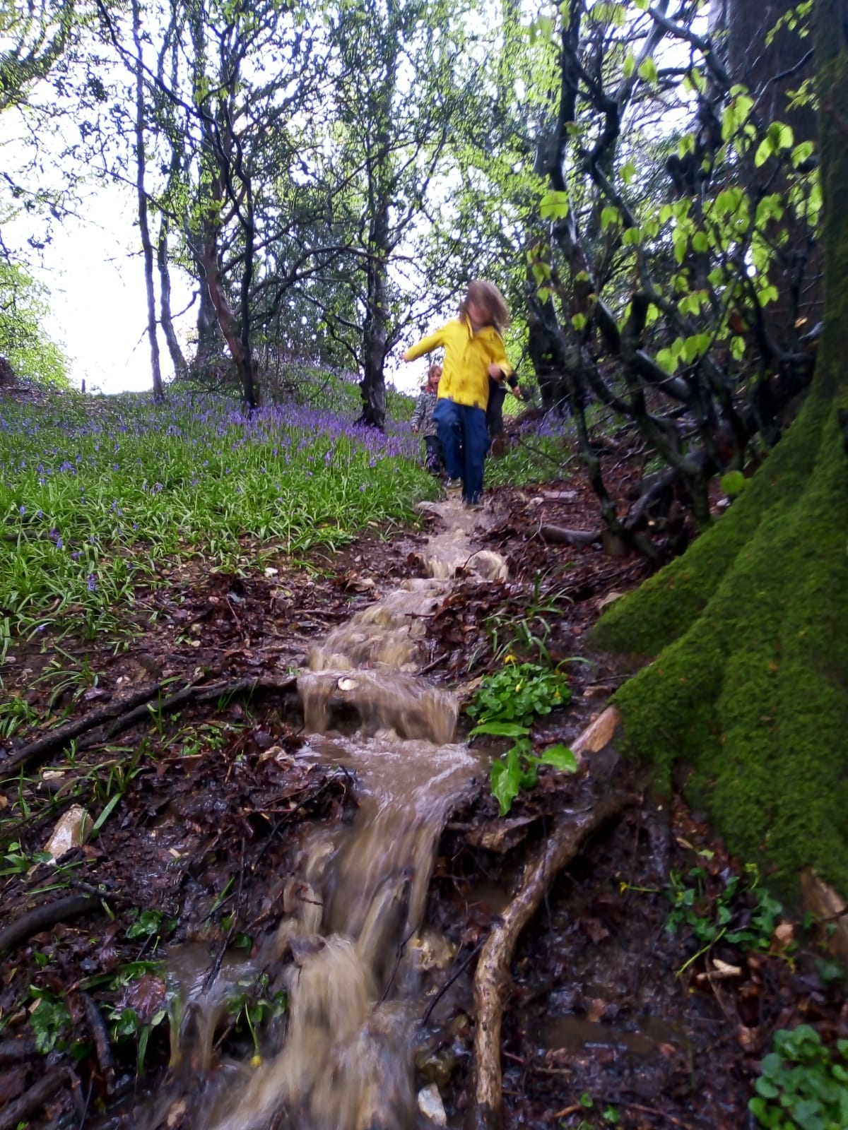 Go Find Nature Nurture in Nature Forest School